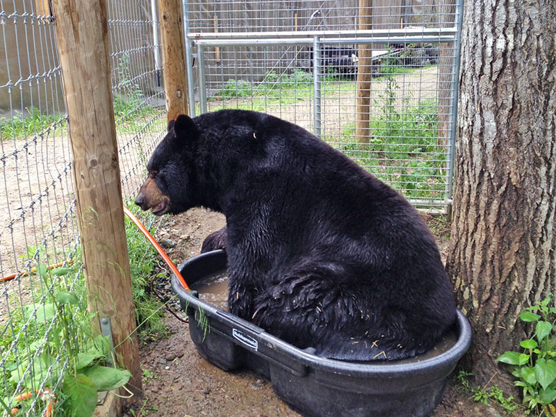 Ted in his new tub