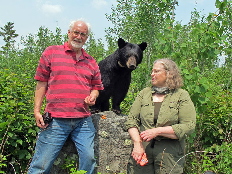 Lynn, June, and Sue  
