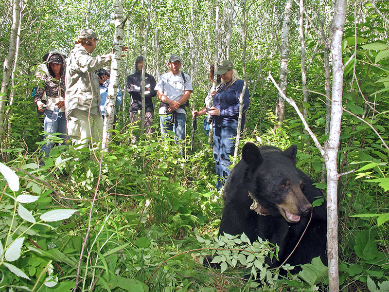 Juliet with bear course group