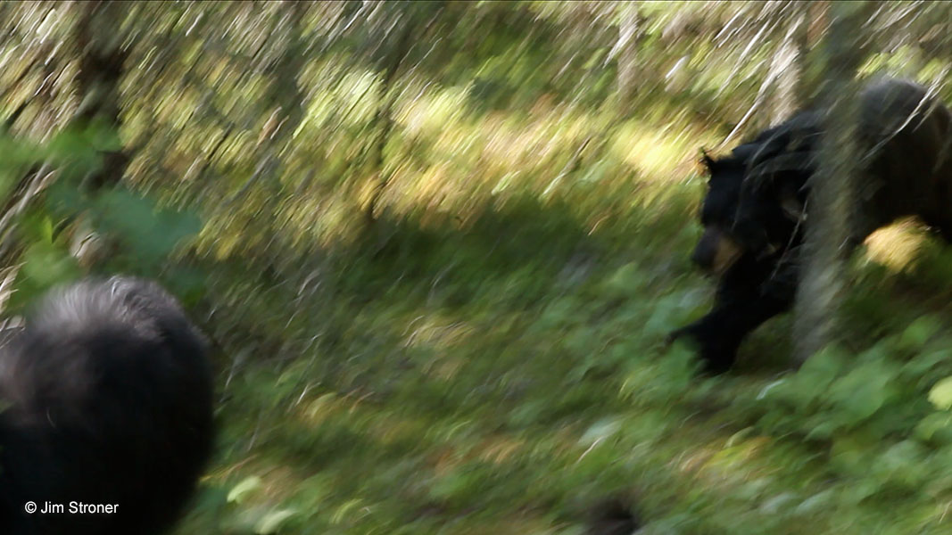 Juliet chases Victoria