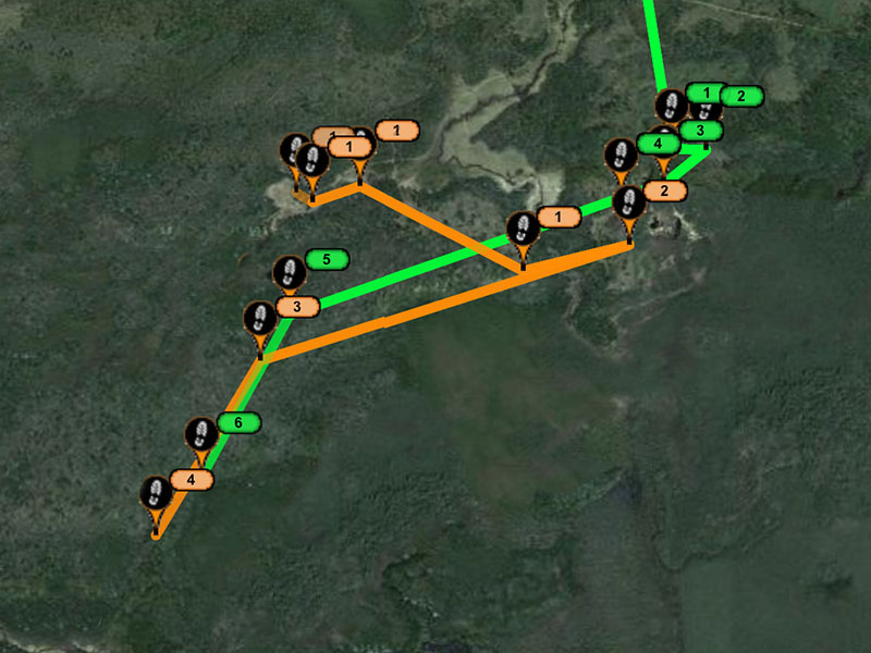 Jewel is green, Aster is orange July 16, 2013