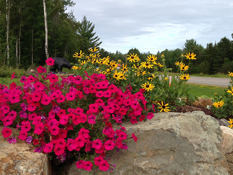 20130811 NABC gardens2