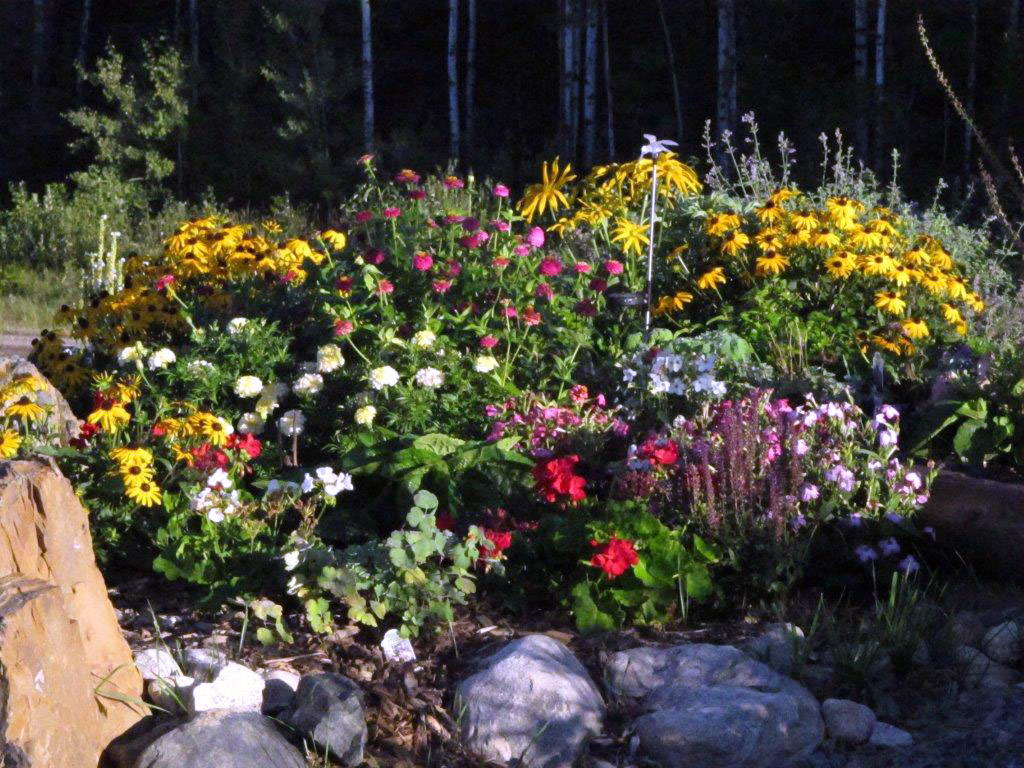 flower bed