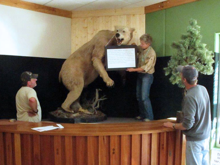 Busy at the Bear Center