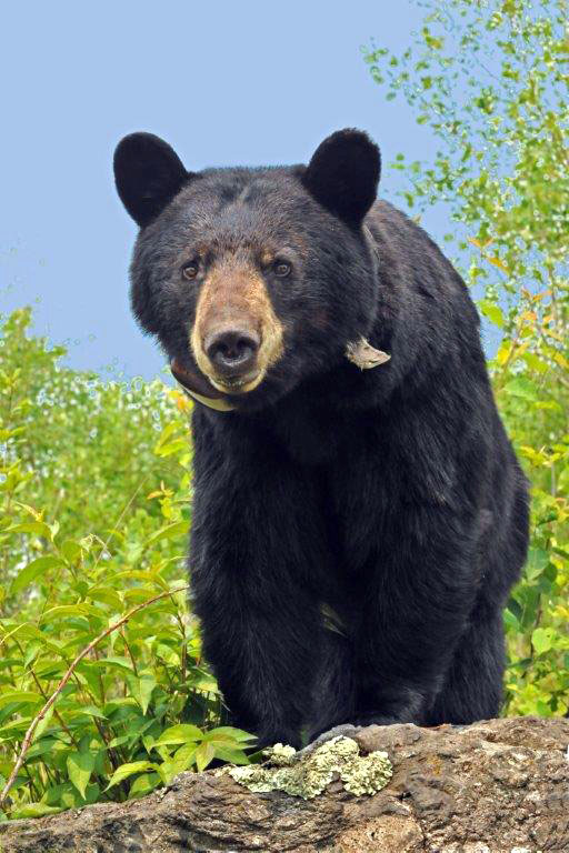 June - June 29, 2013