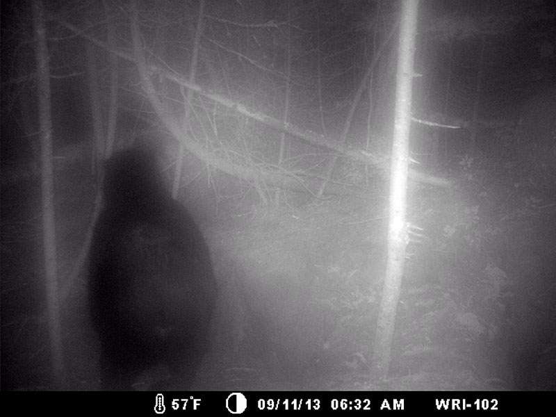 Big Harry visits rock den