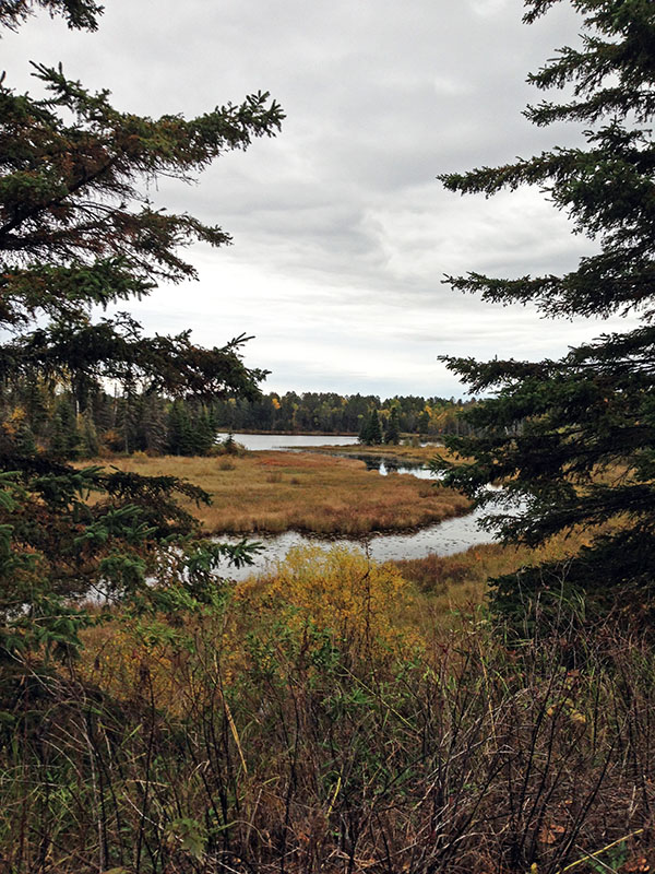 Fall at Fivemile Lake