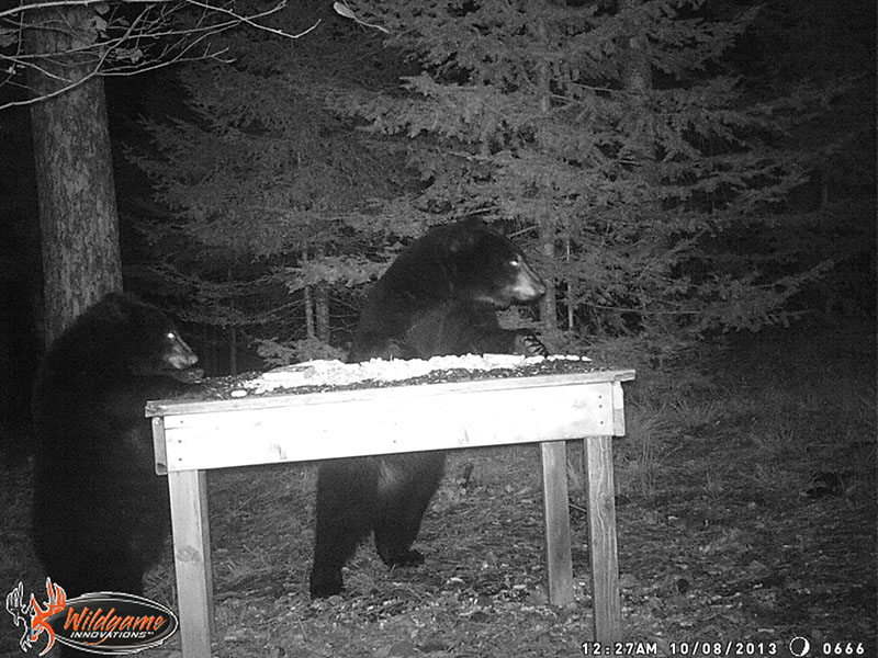 Ember is smaller than Cole