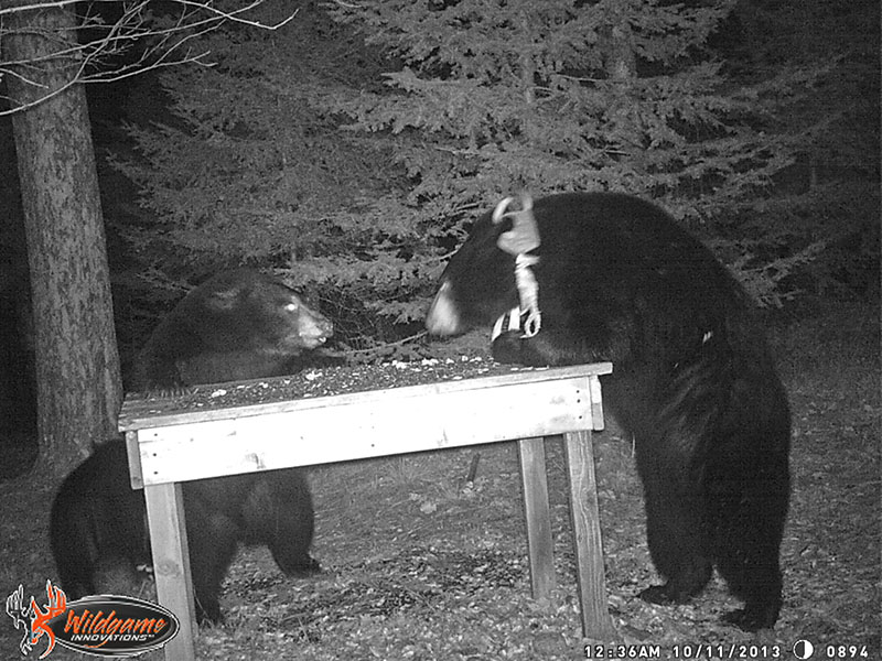 Cole and Aster have words