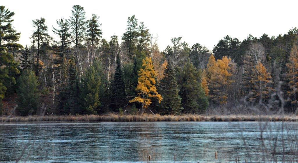 Woods Lake - October 29, 2013