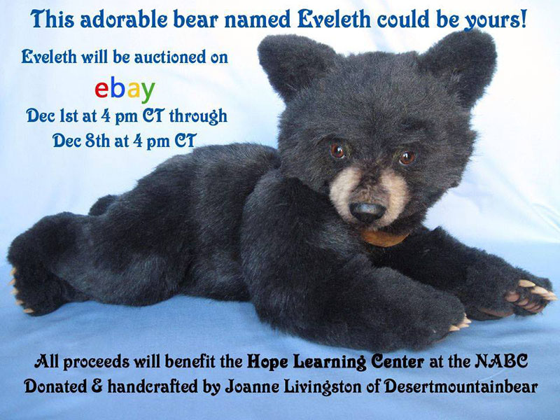 Teddy Bear Auction