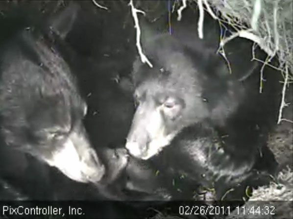 Lily, Hope, Faith and Jason