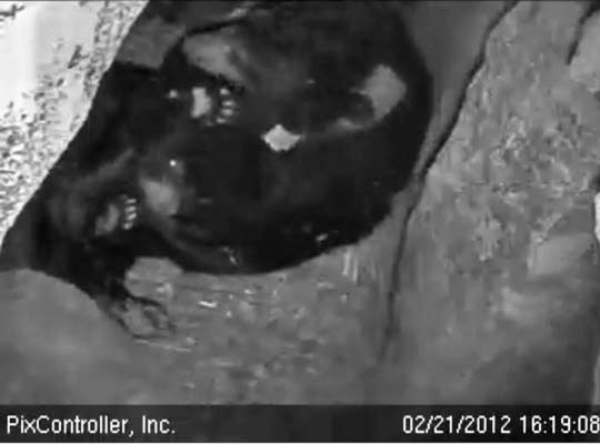 Lily and Faith, 2012