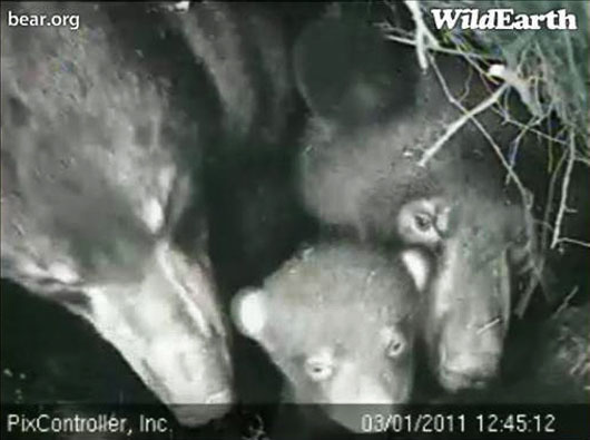 Lily and family - 2011