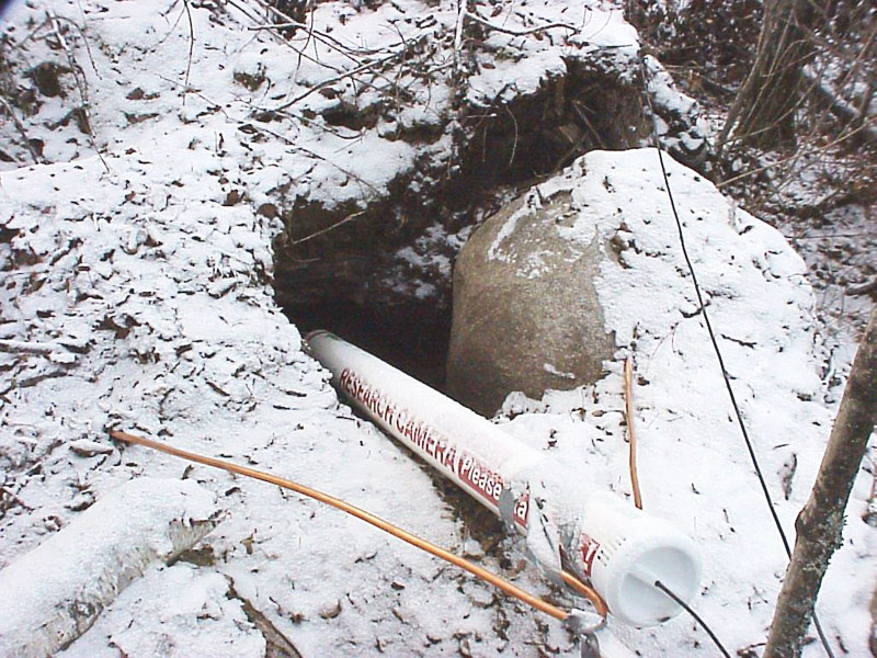 Whiteheart's Den Cam