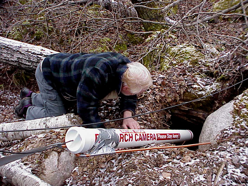 Lynn Rogers checking Den Cam