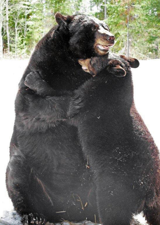 Lucky and Ted hugging