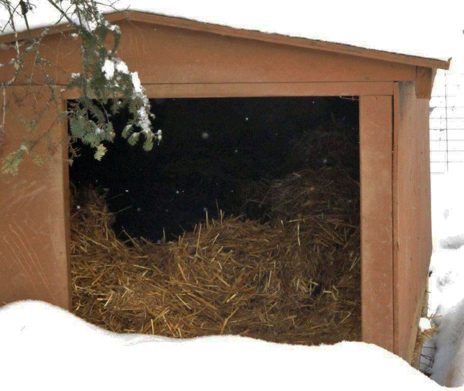 Ted in his den