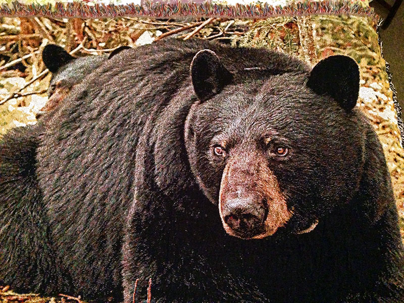 June's image woven into a throw  