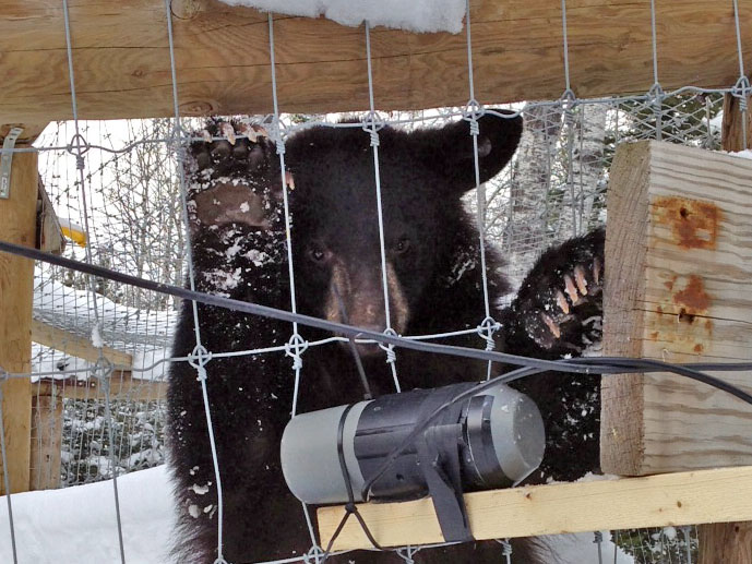 Holly inspects the camers