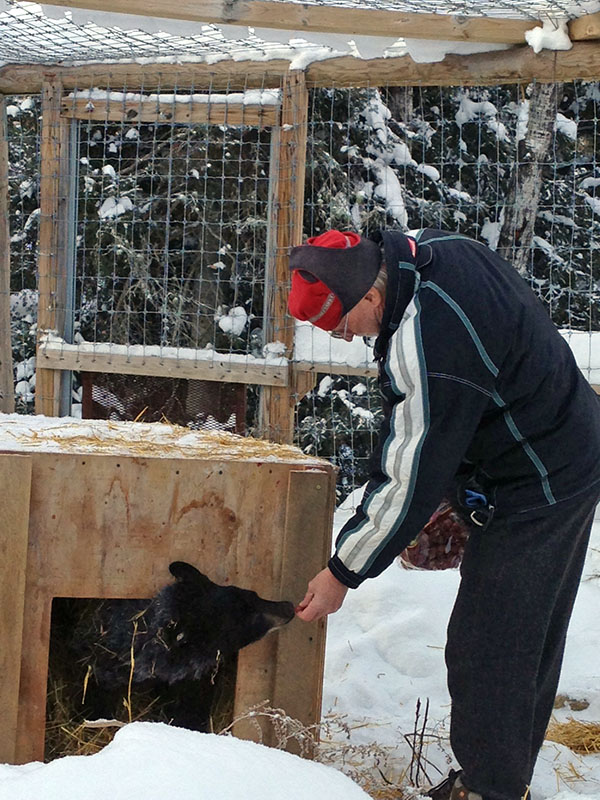 Lynn offers Holly grapes