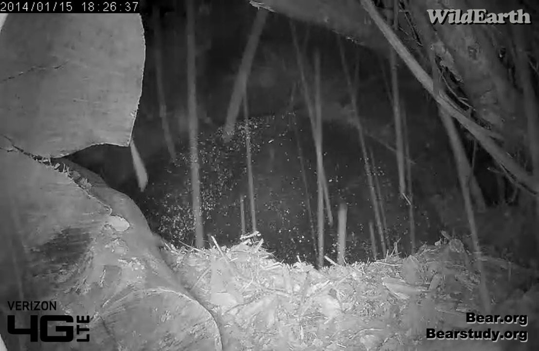 Snowing at Juliet's den