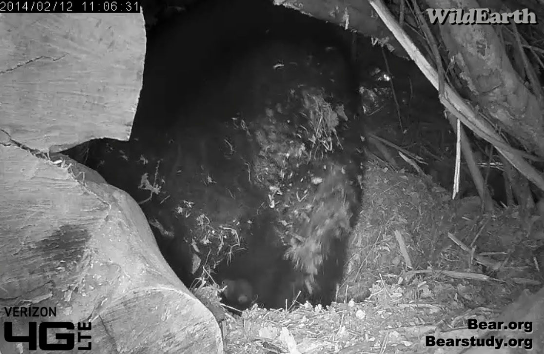 Juliet returns - 2/12/14