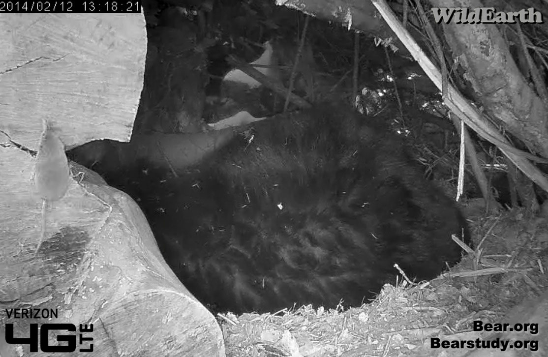 Juliet has a visitor!