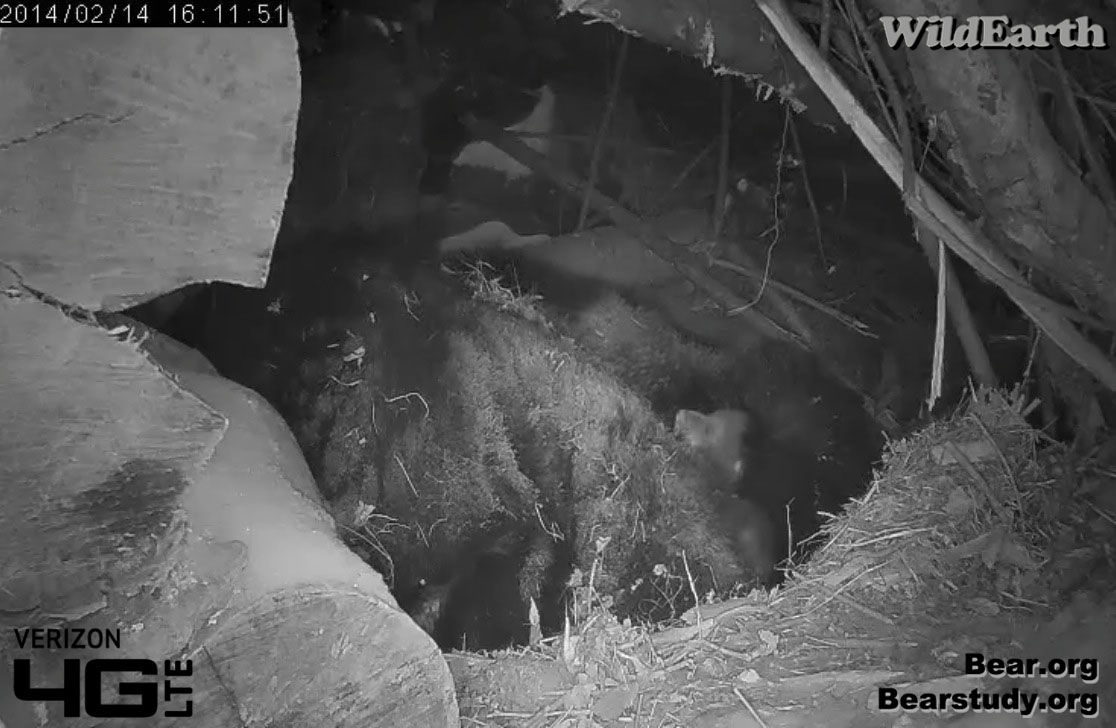 Getting some air - 2/14/14