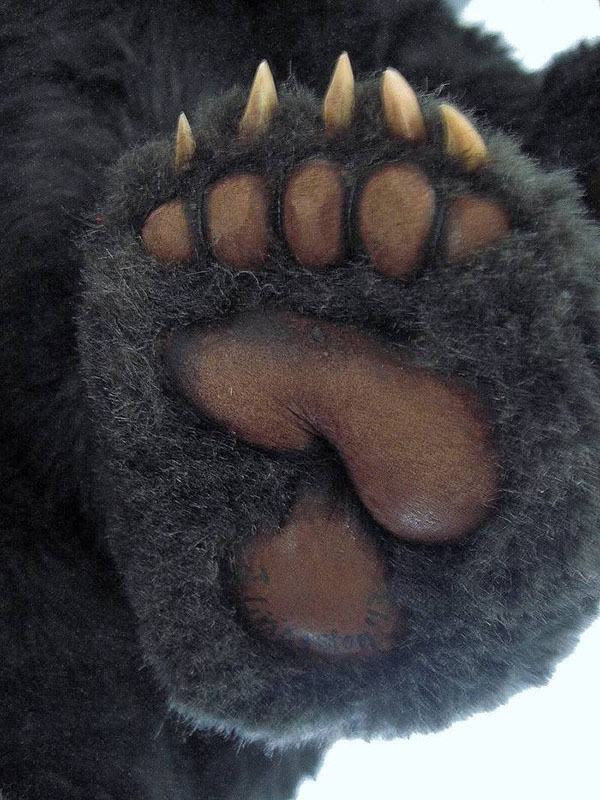Detail of teddy bear foot
