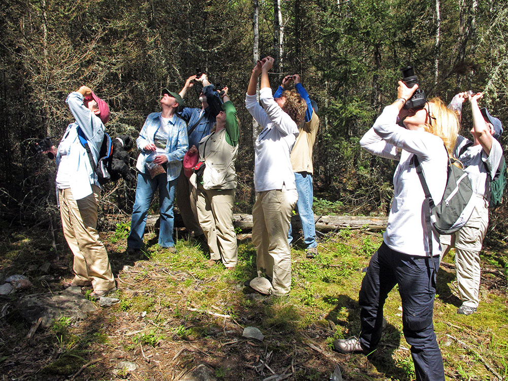 Black Bear Field Study Course