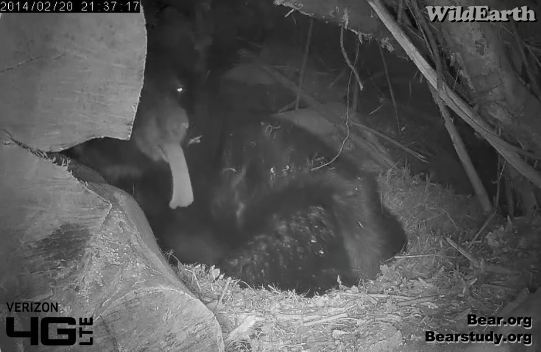 Juliet's long tongue - Feb 20