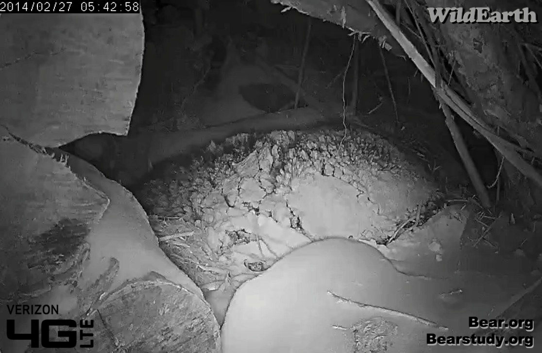 Snow on Juliet's back