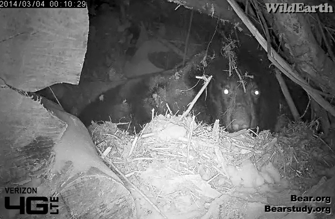 Juliet briefly looks toward the camera - March 4