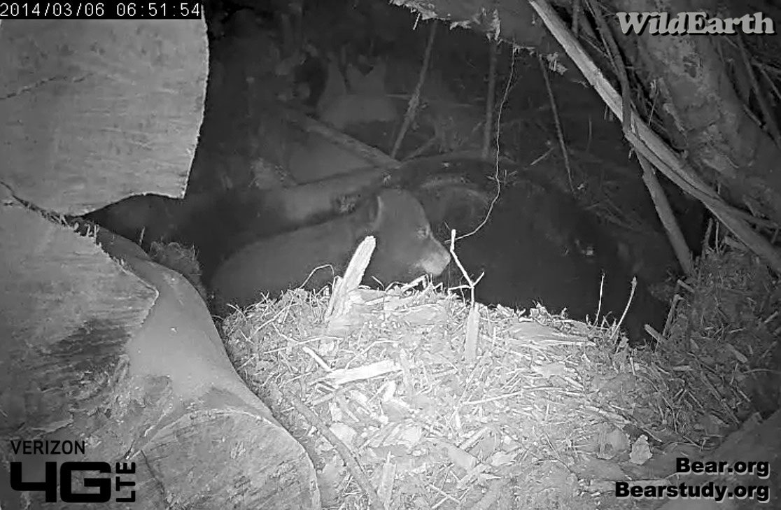 Finding its way back