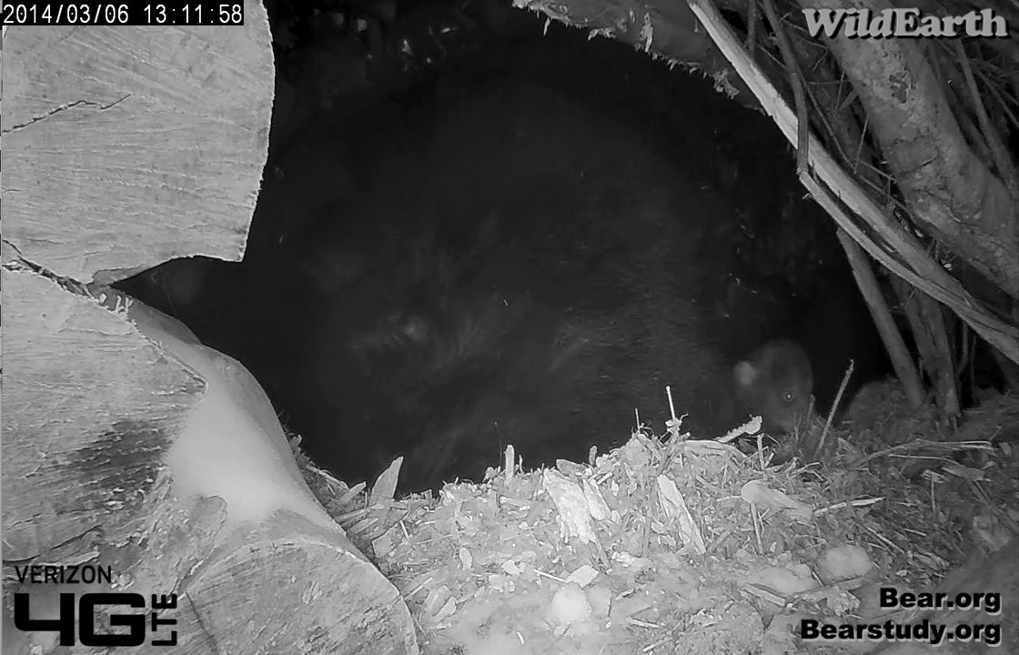 …but tucks back near Juliet