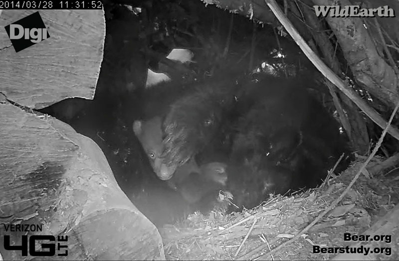 Juliet wants to sleep