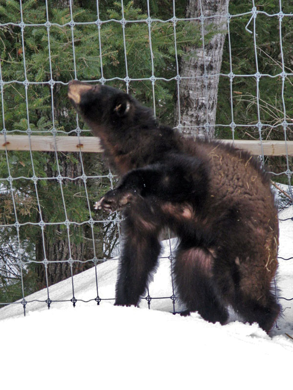 Holly checks out new scents