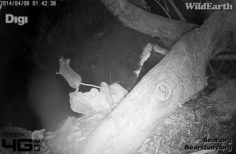 Juliet has a visitor!