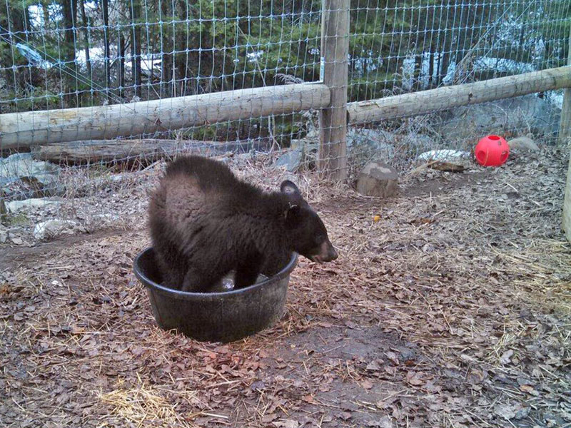 Holly with her new 'best friend'