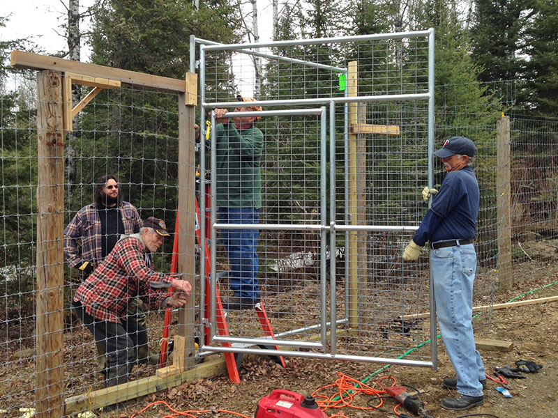 Honey's pen takes shape