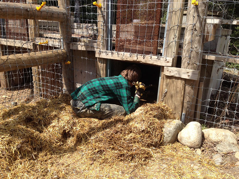 Cleaning out Lucky's den