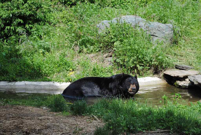 Ted takes a bath