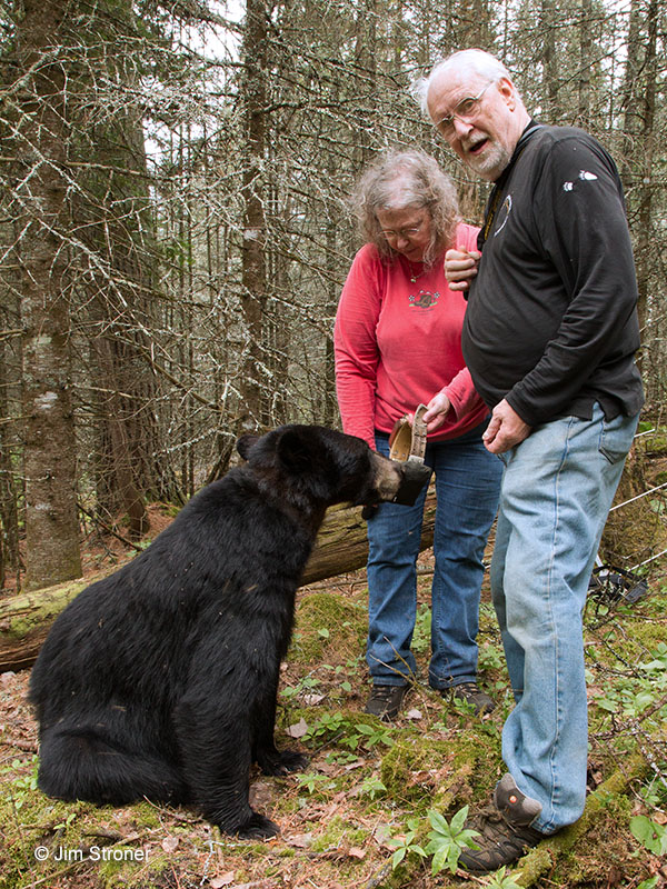 Jewel sniffs her collar