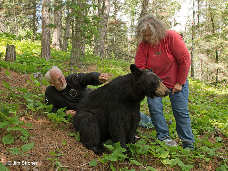 Lynn combs Lily while Sue removes ticks