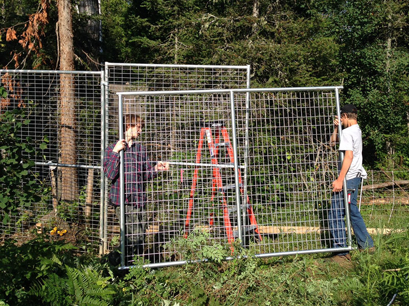 Volunteers at work