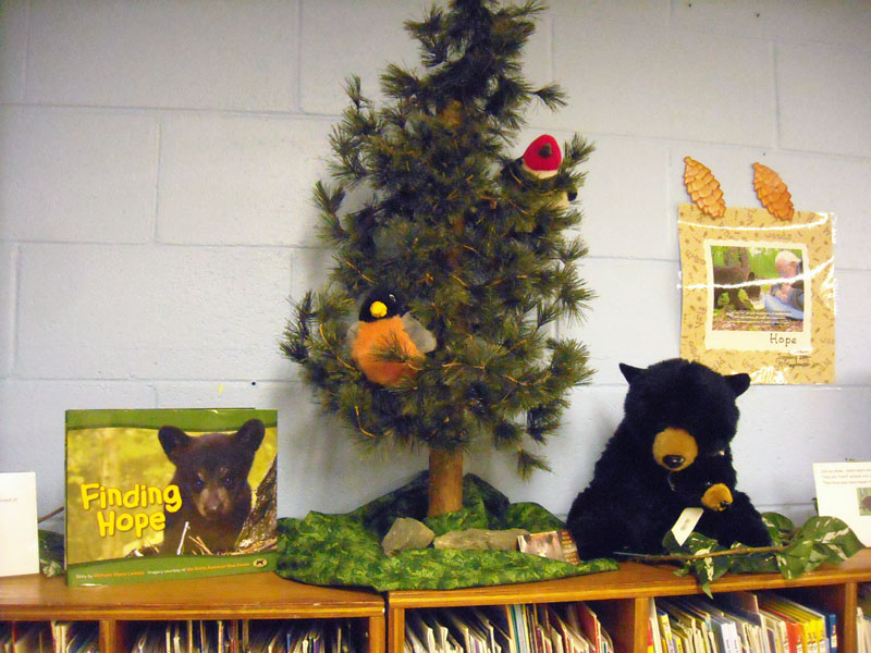 Decorated Preschool Bookcase