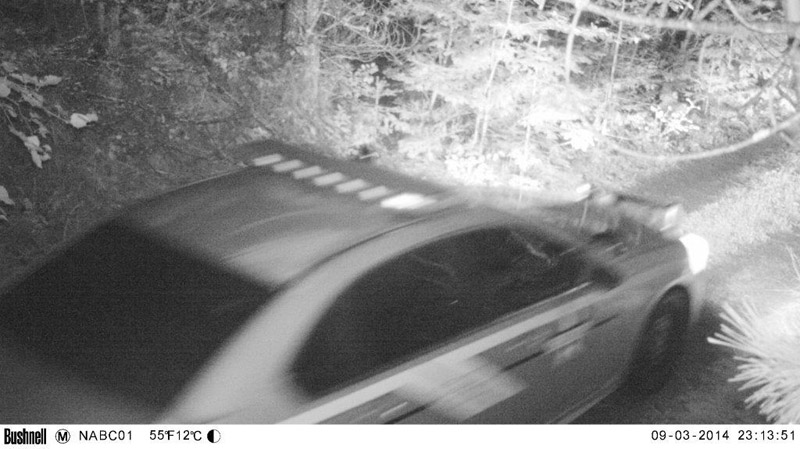 Trail Cam capture - Sept. 3, 2014