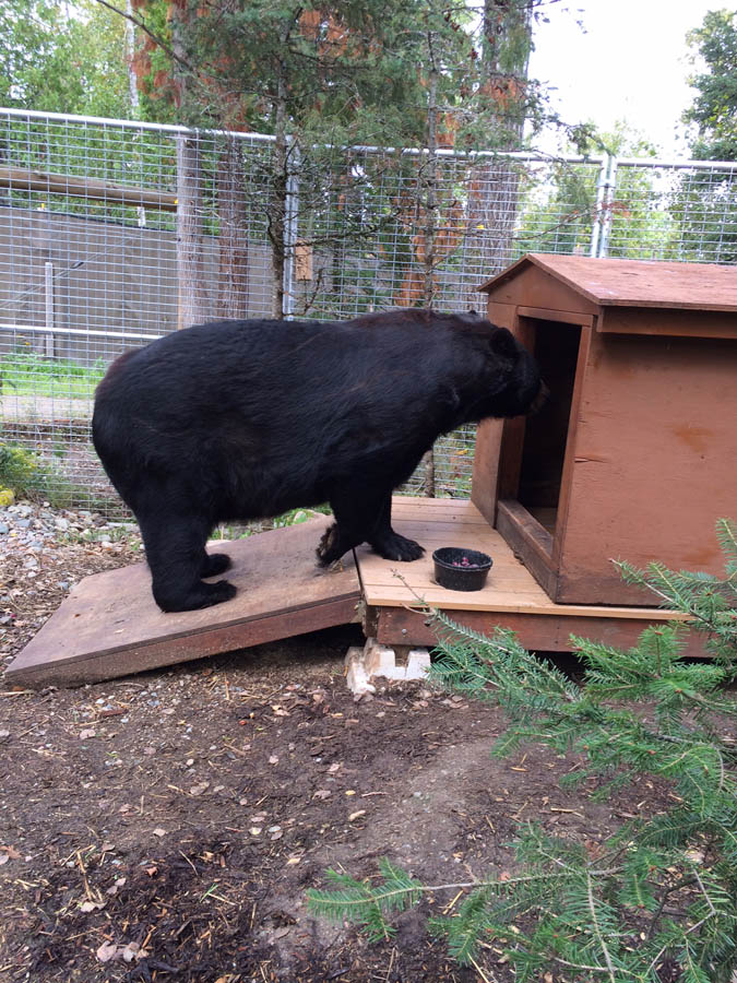Ted checking out his den