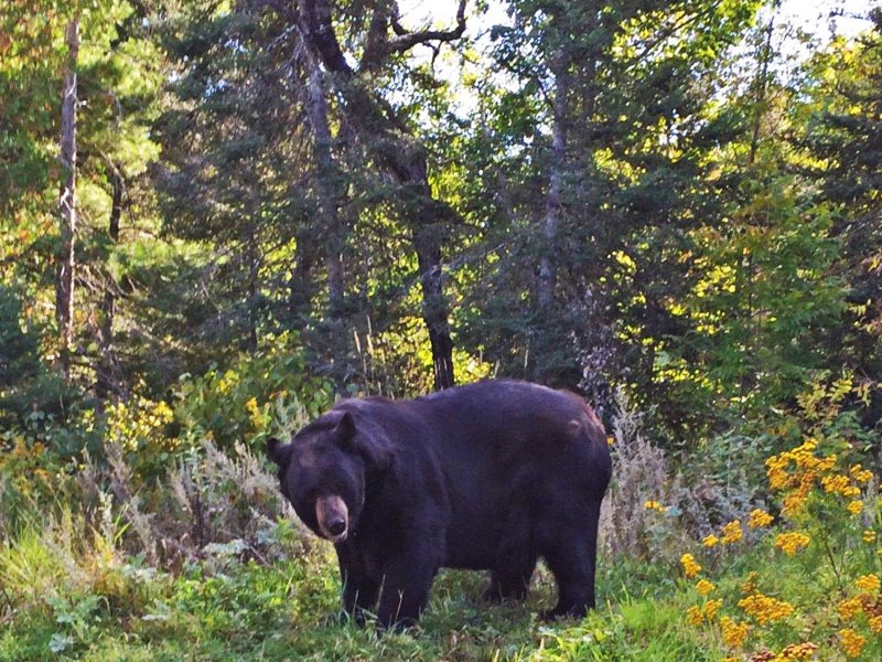 Ted looking good!